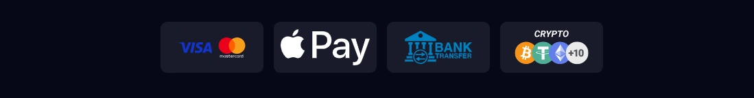 Accepted payment methods at Lucky Mister